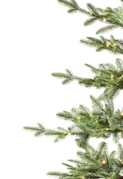 Balsam Hill Alpine Balsam Fir Tabletop Discount