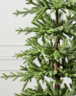 Balsam Hill Alpine Balsam Fir Trees Best