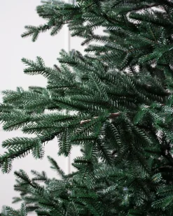 Balsam Hill Aspen Silver Fir® ReNEW™ Outlet