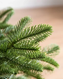 Balsam Hill Baby Nordmann Artificial Tabletop Christmas Trees New