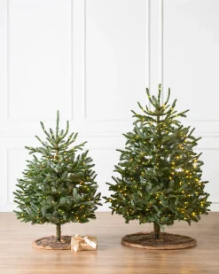 Balsam Hill Baby Nordmann Artificial Tabletop Christmas Trees New