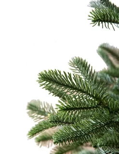 Balsam Hill Baby Nordmann Artificial Tabletop Christmas Trees New