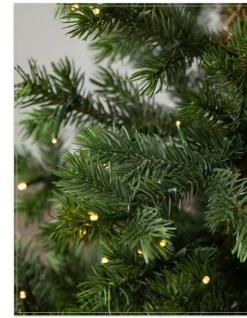 Balsam Hill Baby Yukon Spruce® Potted Trees Clearance