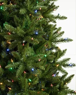 Balsam Hill Berkshire Mountain Fir Trees Hot
