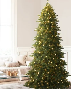 Balsam Hill Berkshire Mountain Fir Trees Hot
