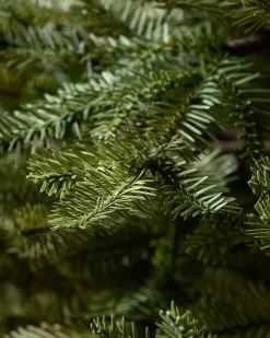 Balsam Hill BH Balsam Fir® ReNEW™