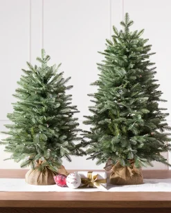 Balsam Hill BH Balsam Fir Tabletop Best