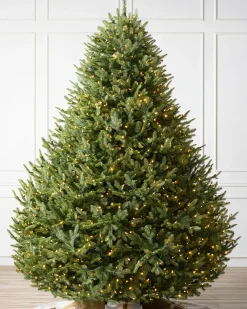 Balsam Hill BH Balsam Fir® Trees Online