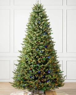 Balsam Hill BH Balsam Fir® Trees Online