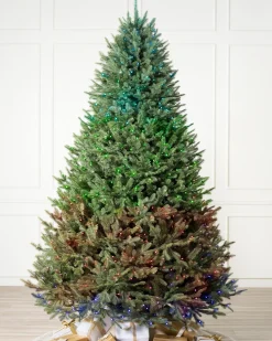 Balsam Hill BH Balsam Fir® Trees Online