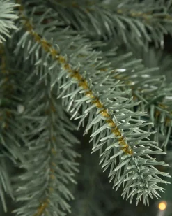 Balsam Hill BH Blue Spruce Trees New