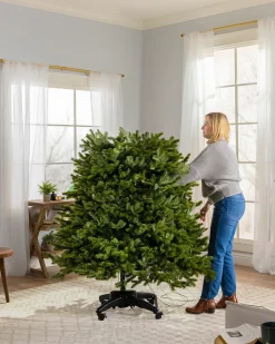 Balsam Hill BH Blue Spruce Trees New