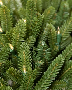 Balsam Hill BH Fraser Fir Foliage