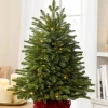 Balsam Hill BH Fraser Fir® Tabletop Tree Hot
