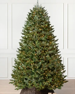 Balsam Hill BH Fraser Fir Trees Discount