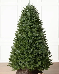Balsam Hill BH Fraser Fir Trees Discount