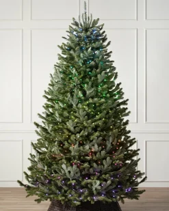 Balsam Hill BH Fraser Fir Trees Discount