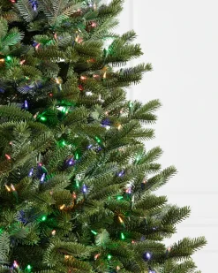 Balsam Hill BH Fraser Fir Trees Discount