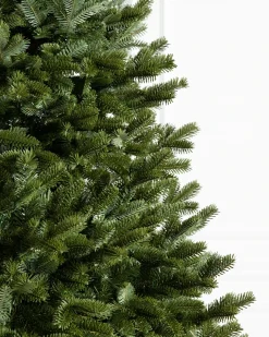 Balsam Hill BH Fraser Fir Trees Discount