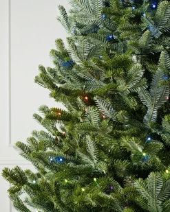 Balsam Hill BH Fraser Fir Trees Discount