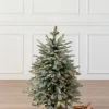 Balsam Hill BH Frosted Balsam Fir® Tabletop Trees Clearance