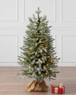 Balsam Hill BH Frosted Balsam Fir® Tabletop Trees Clearance