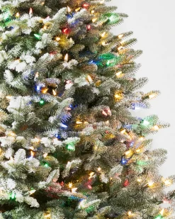 Balsam Hill BH Frosted Balsam Fir Trees Sale