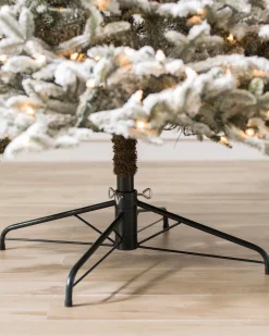 Balsam Hill BH Frosted Fraser Fir® Trees Discount