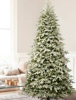 Balsam Hill BH Frosted Fraser Fir® Trees Discount