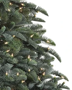 Balsam Hill BH Noble Fir® Trees