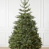 Balsam Hill BH Nordmann Fir Trees Online