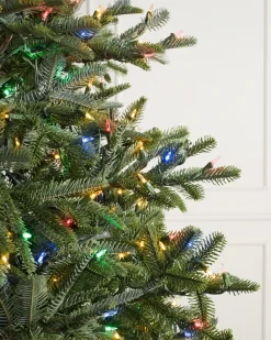 Balsam Hill BH Nordmann Fir Trees Online