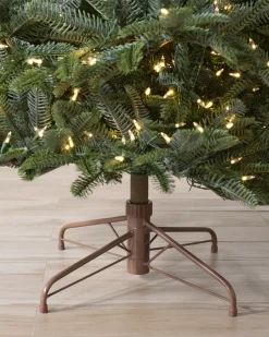 Balsam Hill BH Nordmann Fir Trees Online