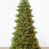 Balsam Hill BH Norway Spruce Trees Online