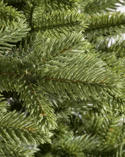 Balsam Hill BH Norway Spruce Trees Online