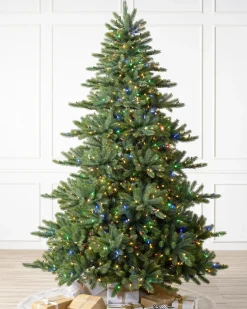 Balsam Hill Biltmore® Spruce Trees Outlet
