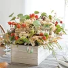 Balsam Hill Briarwood Cottage Foliage Best