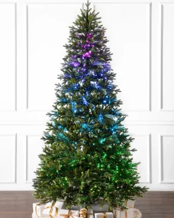 Balsam Hill Broadway Fiber Optics Trees Best