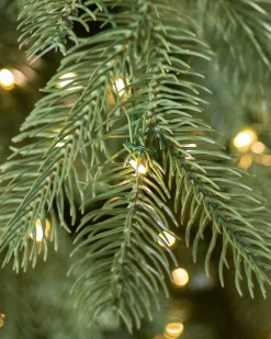 Balsam Hill Cathedral Fir Trees Sale