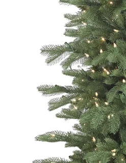 Balsam Hill Cathedral Fir Trees Sale