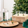 Balsam Hill Christmas Cheer Tumbler Gift Box Outlet