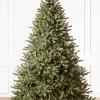 Balsam Hill Classic Blue Spruce Trees Outlet