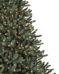 Balsam Hill Classic Blue Spruce Trees Outlet