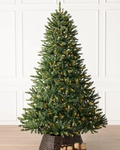 Balsam Hill Classic Evergreen Spruce Trees New