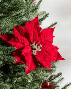 Balsam Hill Classic Poinsettia Christmas Tree Picks Best