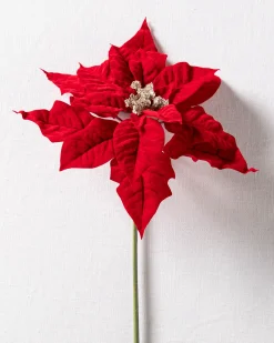 Balsam Hill Classic Poinsettia Christmas Tree Picks Best