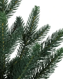 Balsam Hill Colorado Mountain Spruce® Trees Hot