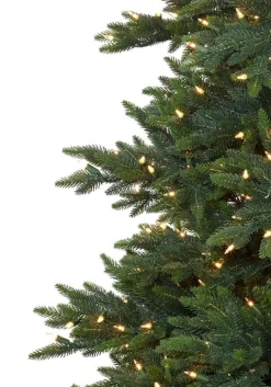Balsam Hill Colorado Mountain Spruce® Trees Hot