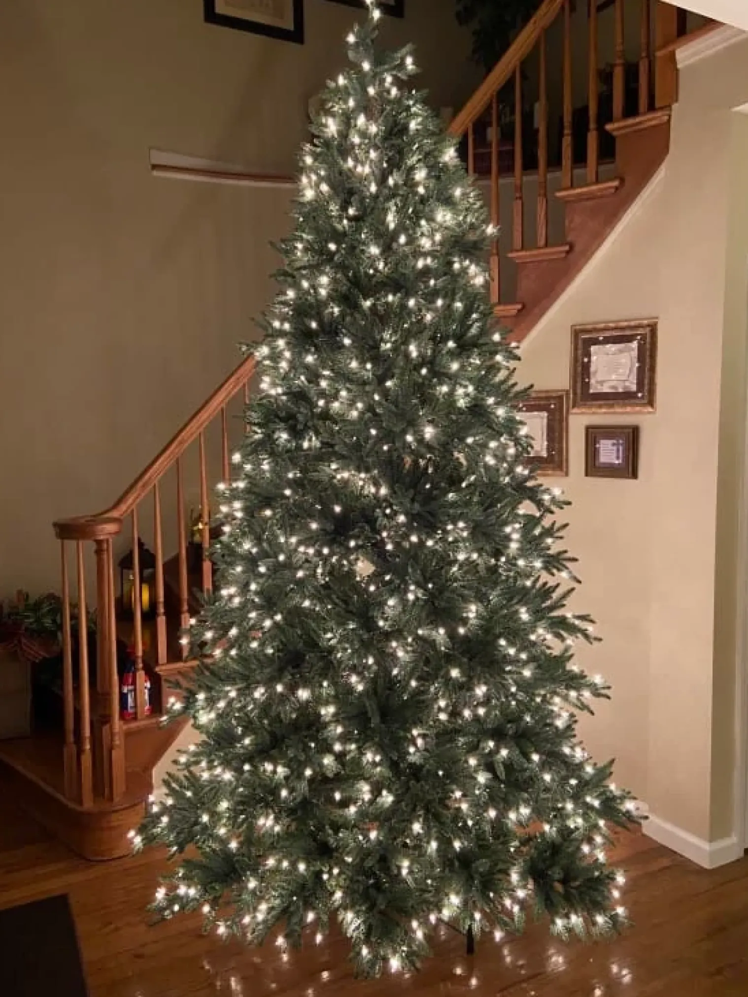 Balsam Hill Colorado Mountain Spruce® Trees Hot