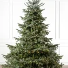 Balsam Hill European Fir Trees Sale